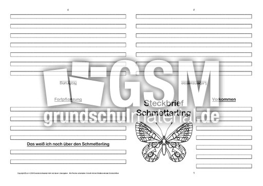 Schmetterling-Faltbuch-vierseitig-2.pdf